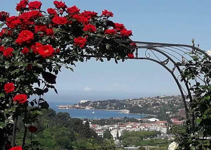 Apartma Sea View