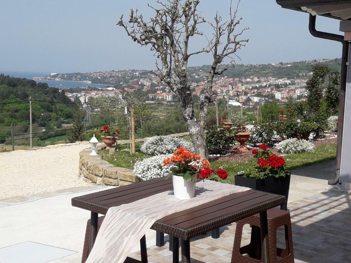 Apartma Sea View *