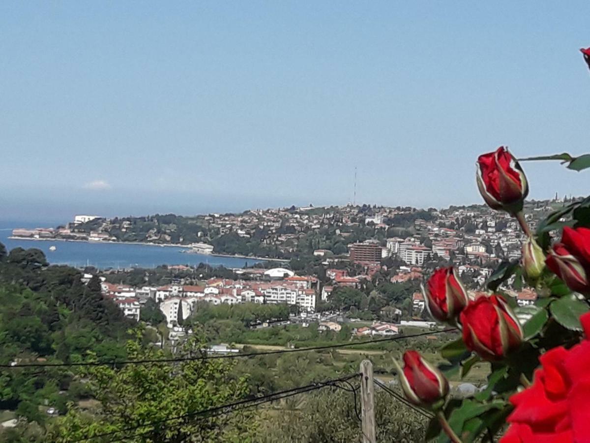 Apartma Sea View * Portorož